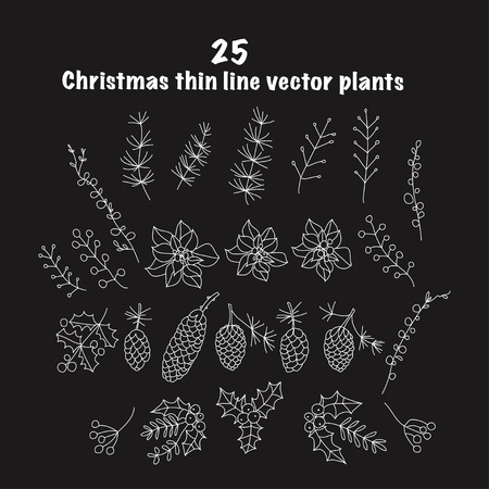 Set of 25 Christmas botanical symbols.のイラスト素材