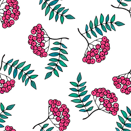 Rowan vector seamless pattern.のイラスト素材