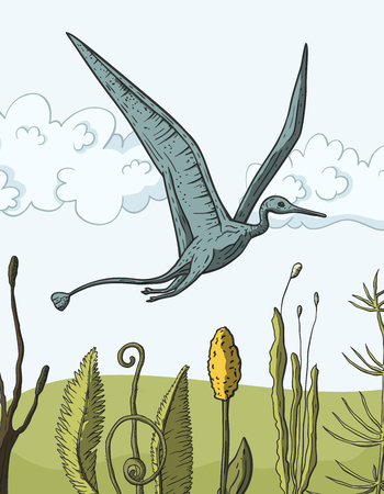 Pteranodon Dinosaur in its habitat. Jurassic and Cretaceous animal. Prehistoric vector dino.のイラスト素材
