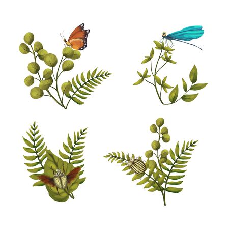 Vector Icon set with cute 3d insect. Illustration with a garden cartoon beetles on a white background. Nature collection.のイラスト素材