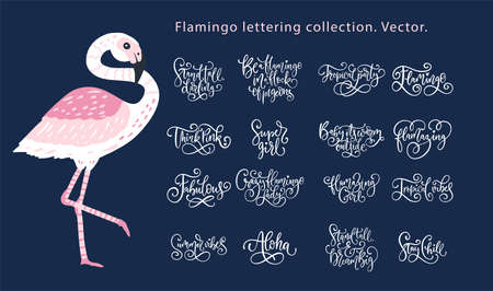 Summer lettering flamingo girly vector set.のイラスト素材