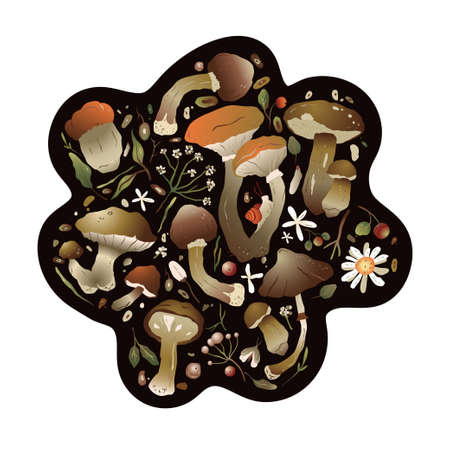 Forest vector nature greeting card with different mushrooms, fern and forest herbs.  Beautiful natural illustration for t-shirt print.のイラスト素材