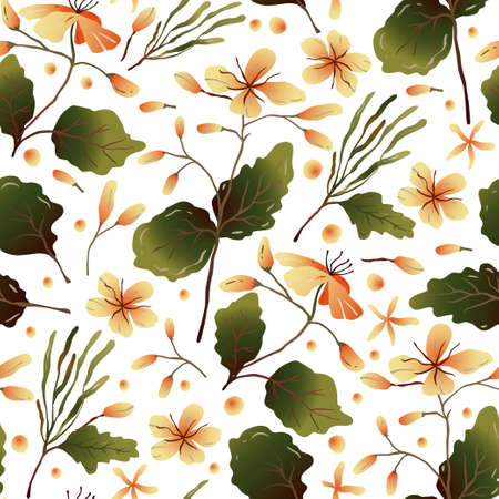 celandine herb vector seamless pattern. Botanical floral summer drawing. Natural flower botany medicinal background.のイラスト素材
