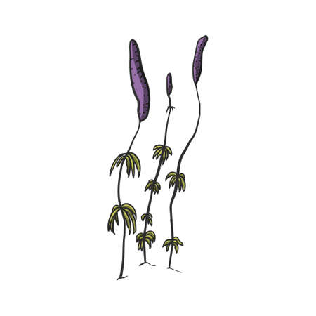 Jurassic jungle berry plant nature leaf. Forest flora illustration. Botanical tropical prehistoric botany print.のイラスト素材