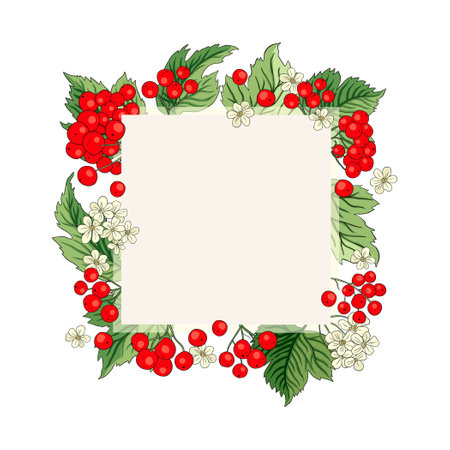 Viburnum rowan red berry vector frame rustic floral bouquet illustration. Wedding greeting design, fresh forest and garden harvest.のイラスト素材