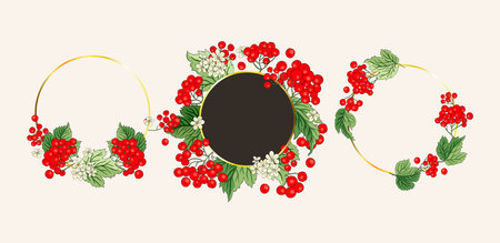 Viburnum Guelder Red Berry Frame Set Decorative Banner Border Card Invitation Vector Fall Retro Frame Autumn Fruitのイラスト素材