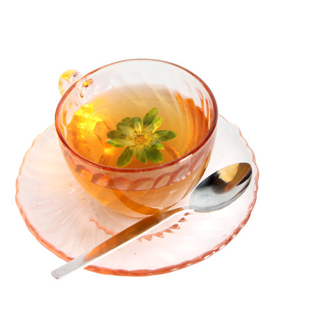 Tea in the cup isolated on white backgroundの写真素材