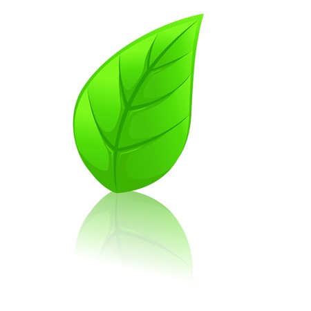 Green leafのイラスト素材