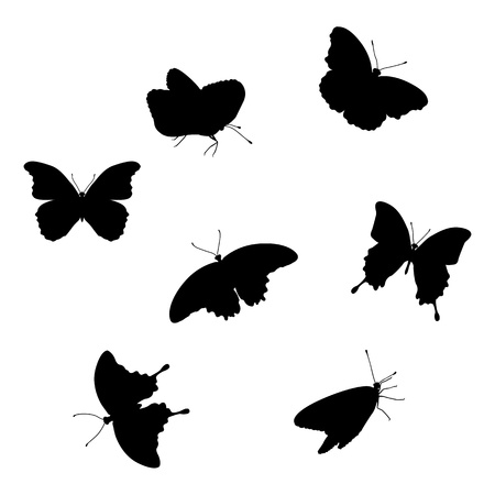 Set of butterfliesのイラスト素材