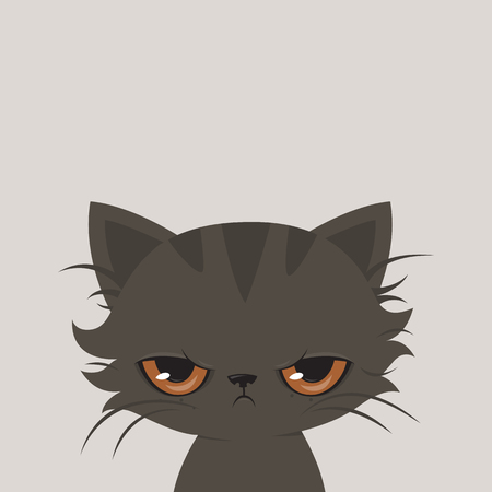 Angry cat cartoon. Cute grumpy cat, illustration.のイラスト素材