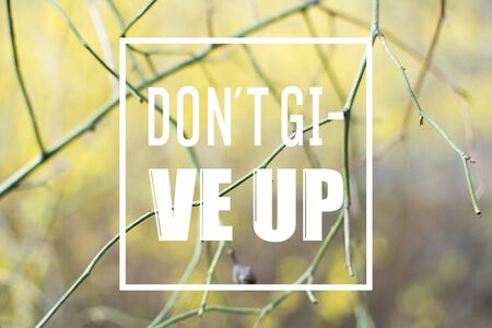 the phrase dont give up written over sad spring or autumn background with branches and defocused bushes.の写真素材