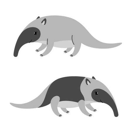 Cute cartoon anteater isolated on white background.のイラスト素材