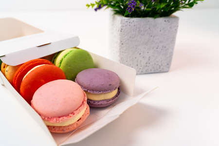 Opened Box of Macarons on a white table against the backdrop of a decorative flower in a pot.の写真素材