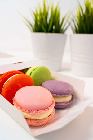 Opened Box of Macarons on a white table against the backdrop of a decorative flower in a pot.の写真素材
