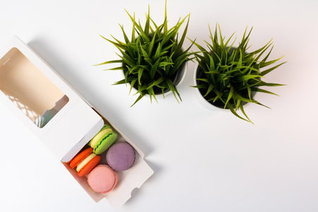 Opened Box of Macarons on a white table against the backdrop of a decorative flower in a pot.の写真素材