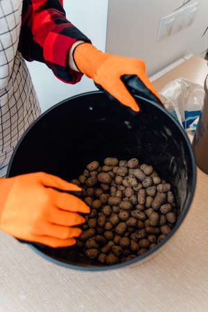 A woman lays the drainage at the bottom of a pot for planting an indoor flower.の写真素材