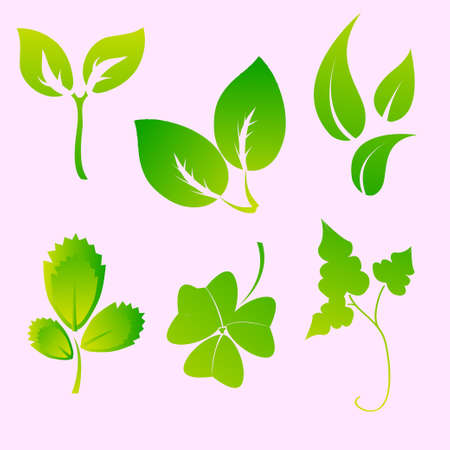 Vector illustration set of design leaves silhouettesのイラスト素材