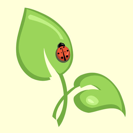 Vector illustration of  ladybug sitting on the green leaf のイラスト素材