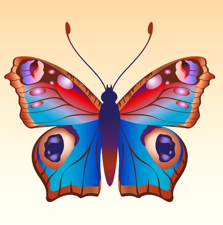 Illustration of detailed Brightly coloured butterfly の写真素材