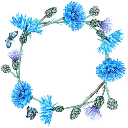 Wreath of cornflowers with flying butterflies. Watercolor botanical illustration included in the collection of wildflowers. Isolated image on a white background. For your design of fabrics, greeting cards, gift packages, stationery, accessories.の写真素材