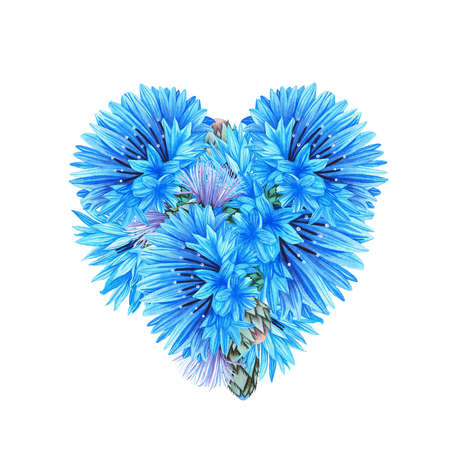 Cornflowers. Watercolor botanical illustration included in the collection of wildflowers. Isolated image on a white background. For your design of fabrics, greeting cards, gift packages, stationery, accessories.の写真素材