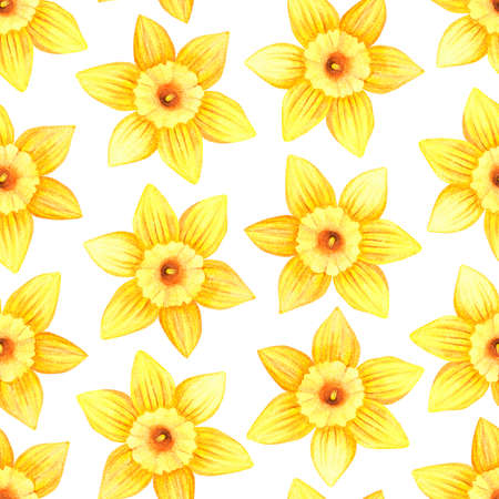 Seamless pattern of daffodils. Watercolor vintage illustration. Isolated on a white background.の写真素材