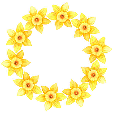 A wreath of daffodils. Watercolor vintage illustration. Isolated on a white background. For design.の写真素材