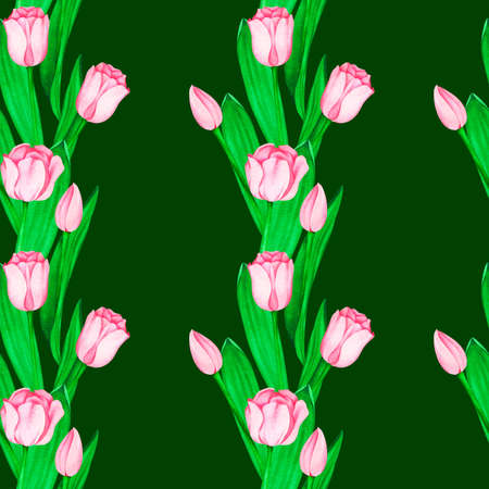 Pink tulips seamless pattern. Watercolor vintage illustration. Isolated on a dark green background.の写真素材