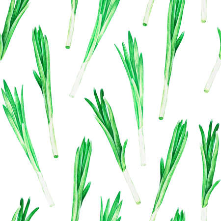 Seamless Pattern Green onions. Watercolor illustration. Isolated on a white background. For design.の写真素材
