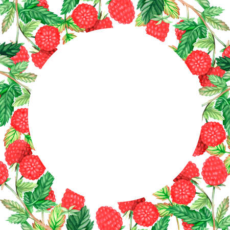 Square raspberry frame. Round place for the inscription. watercolor illustration. isolated on a white background. For your design cookbooks, recipes, kitchen accessories, stickers, food packs.の写真素材