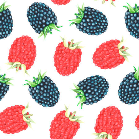 Raspberry and blackberry seamless pattern. watercolor illustration. isolated on a white background. For your design cookbooks, recipes, aprons, kitchen accessories, stickers, dishes, food packs.の写真素材