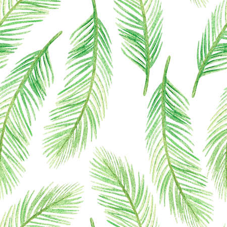 Palm leaves seamless pattern. watercolor illustration. isolated on a white background. For your design travel brochures, backgrounds, stickers, packaging of bathroom products.の写真素材