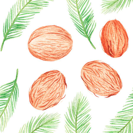 Coconuts with palm leaves seamless pattern. watercolor illustration. isolated on a white background. For your design stickers, food products, packaging of cosmetic products.の写真素材