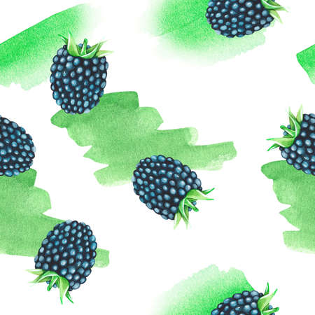 Blackberry seamless pattern. watercolor illustration. isolated on a white background. For your design. Suitable for cookbooks, recipes, aprons, kitchen accessories, stickers, dishes, food packs.の写真素材
