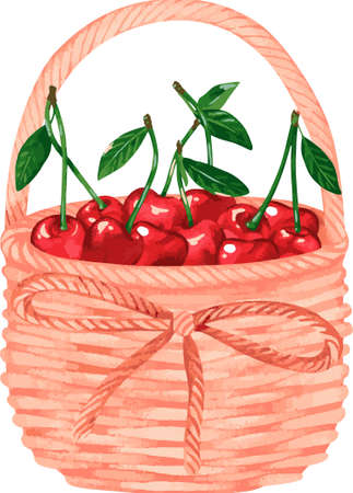 Cherry in a wicker basket. Watercolor vector illustration. isolated on a white background. For your design cookbooks, recipes, kitchen accessories.のイラスト素材