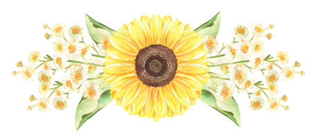 Sunflowers and chamomile border. watercolor botanical illustration. isolated on a white background. For design of garden supplies, kitchen accessories, decorative tape, fabrics, banners.の写真素材