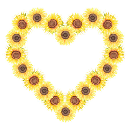 Sunflowers heart wreath. watercolor illustration. Place for text. isolated on a white background. For design of stickers, garden supplies, dishes, kitchen accessories, greeting cards.の写真素材