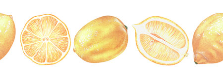 Seamless horizontal border yellow lemons. Long banner. Watercolor illustration. Isolated on a white background.For your design product packaging with citrus acid or scentの写真素材