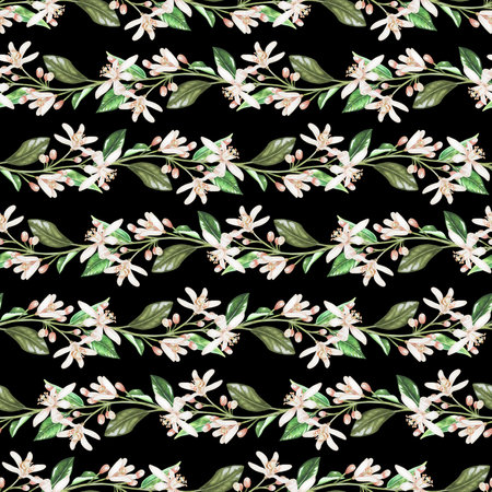 Seamless pattern of sprigs of citrus flowers. White buds of lemon, orange, bergamot, lime. Watercolor illustration. Isolated on a black background. For your design of fabrics, napkins, tableclothsの写真素材