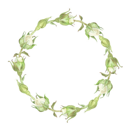 Round wreath of white roses buds with leaves. Place for inscription or text. Watercolor illustration. Isolated on a white background. For design of dishes, greeting card, wedding invitationの写真素材