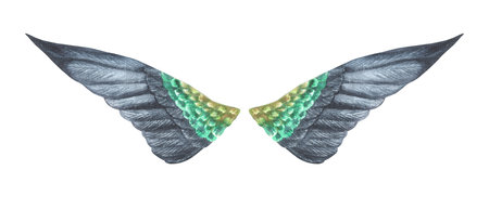 Dark Wings. Watercolor illustration. Isolated on a white background