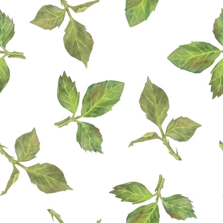 Seamless pattern of green leaves. Watercolor botanical illustration. Isolated on a white background. Hand painting floral print in vintage style. For design of fabric, wrapping paper, wallpaperの写真素材