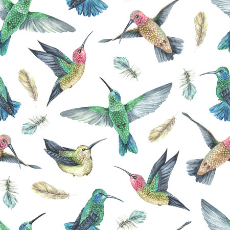 Watercolor illustration.Seamless pattern hummingbird and feathers.Exotic tropical colorful birds.Isolated on a white background.For the design of fabric, wallpaper, interior decorations in boho styleの写真素材