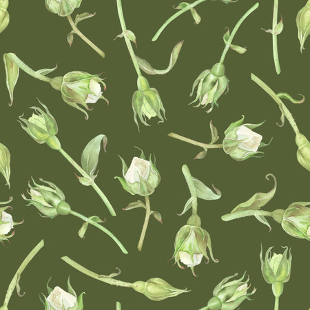Seamless pattern of white roses buds. Watercolor botanical illustration. Isolated on a green background. Hand painting floral print in vintage style. For design of wrapping paper, wallpaper, fabricsの写真素材