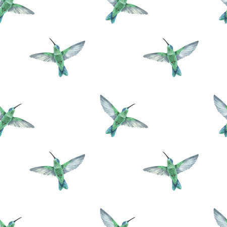 Watercolor illustration. Seamless pattern hummingbird. Exotic tropical colorful birds. Isolated on a white background. For the design of fabric, wallpaper, interior decorations in boho styleの写真素材