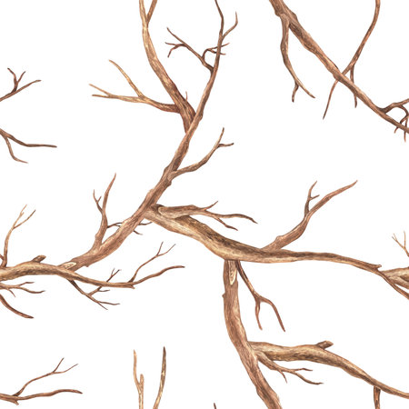 Seamless pattern with brown twigs. Watercolor illustration. Branches of a tree. Isolated on a white background. For rustic print design, fabrics, wrapping paper, interior decorations in boho styleの写真素材