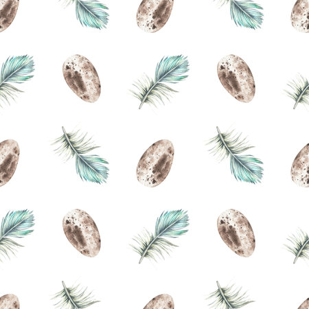 Feathers and eggs seamless pattern. Watercolor illustration. Isolated on a white background. Boho style print. For the design of bed linen, pillows, wrapping paper, napkins, towels, fabricの写真素材