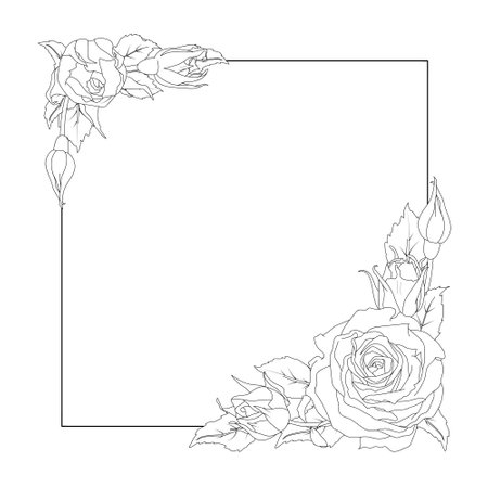 Square wreath of a rose and leaves in line art style. Vector illustration. Hand drawn flower. Black and white drawing. For the design of stickers, wedding invitations, stationery, greeting cardsのイラスト素材