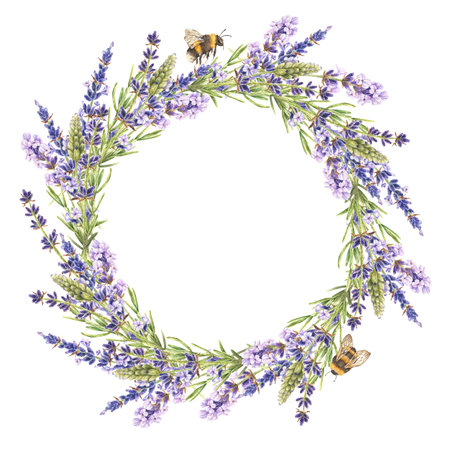Watercolor botanical illustration. Lush round wreath of lavender. Purple wildflowers with bumblebees. Fragrant herb. Hand drawn isolated on a white background. Place for text. For design of cosmeticsの写真素材