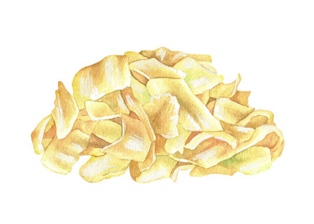 Pickled Chinese cabbage salad. Watercolor illustration. Asian food side dish of fermented vegetables.Traditional Japanese cuisine.Clip art isolated on a white background. Hand drawn canned sauerkrautの写真素材